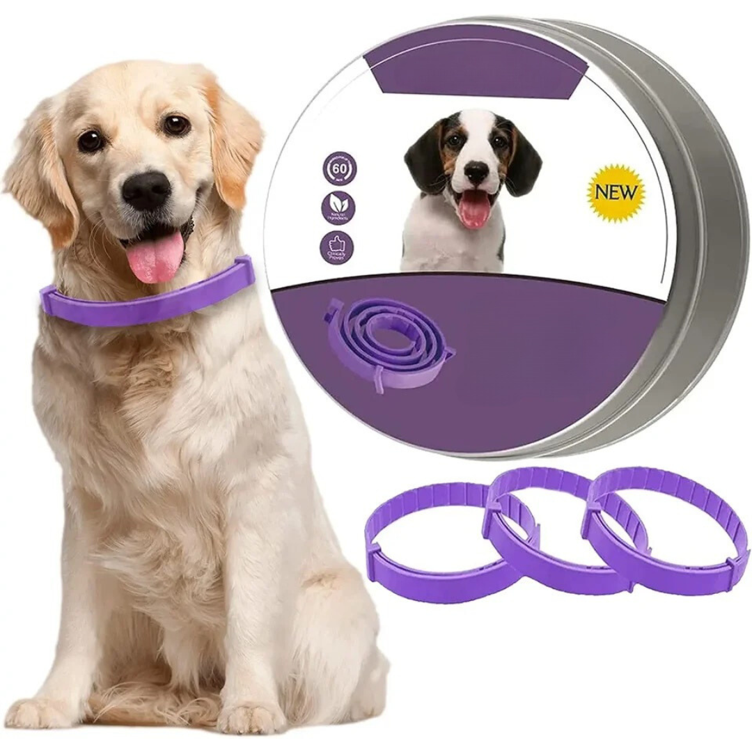 Curated visual reference: Visual Reference: Pheromone Calming Collar