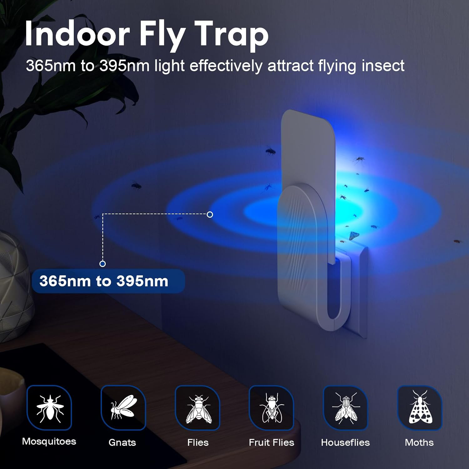 Indoor Fly Trap – Belro