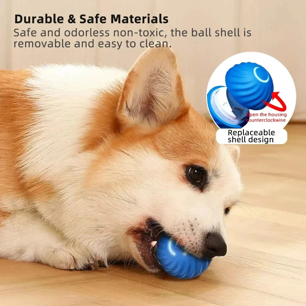 Active Rolling Ball Anti-Anxiety Automatic Moving Ball – Belro