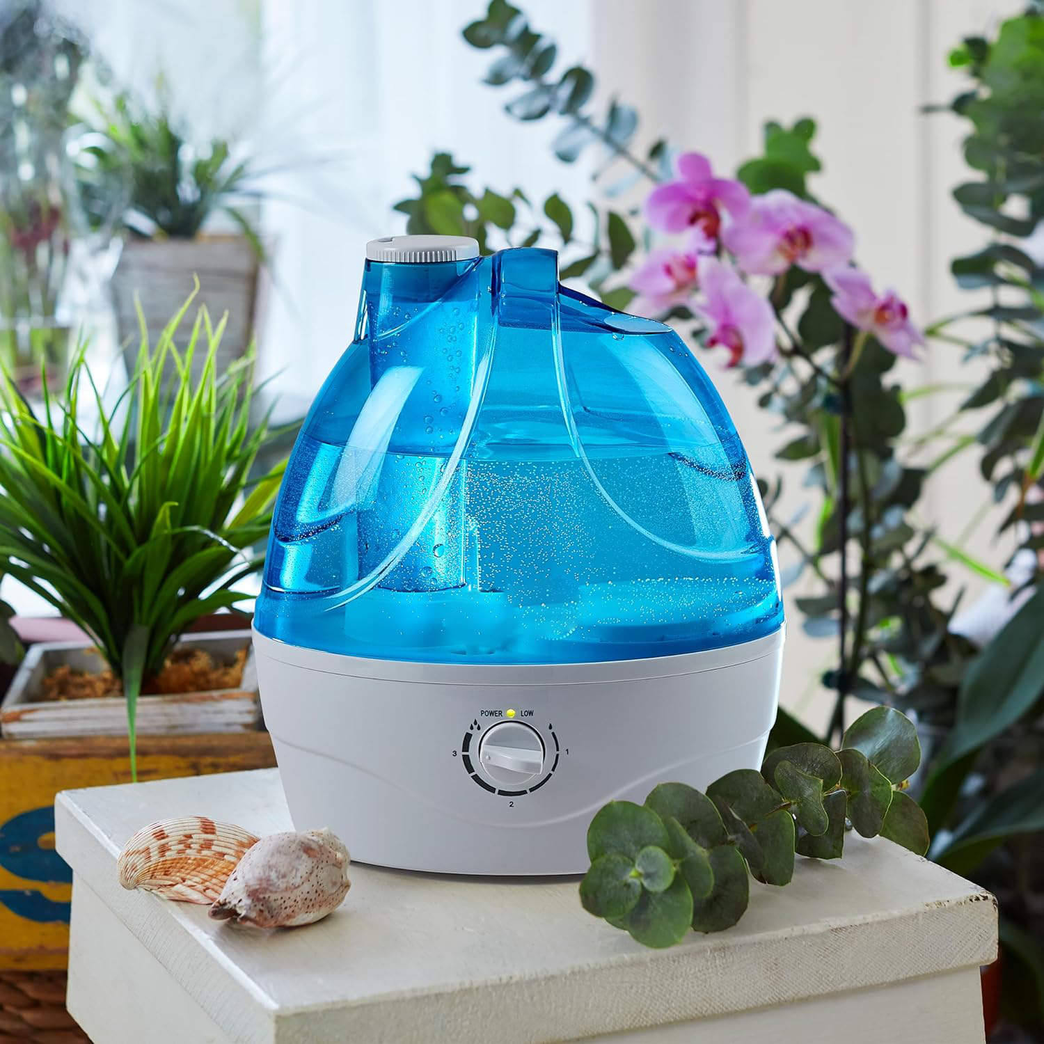 Cool Mist Humidifier – Belro