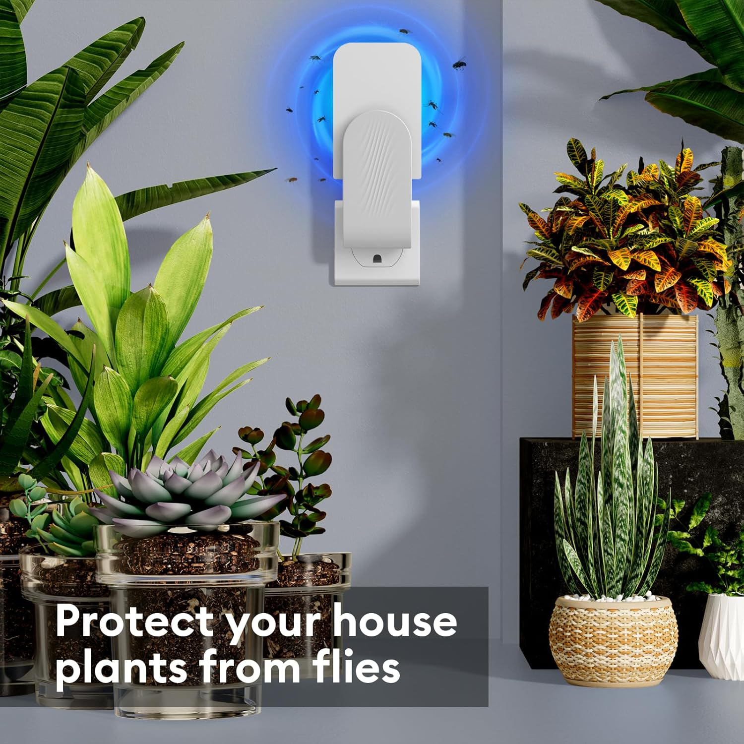 Indoor Fly Trap – Belro