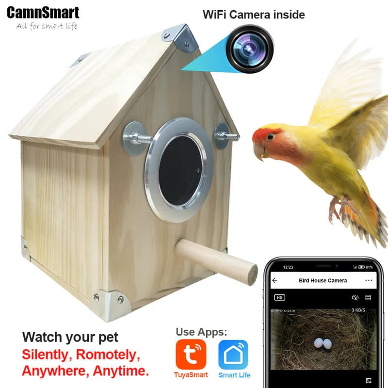 Bird Watching Nesting Feeder Nest Cam Box with Camera – Belro