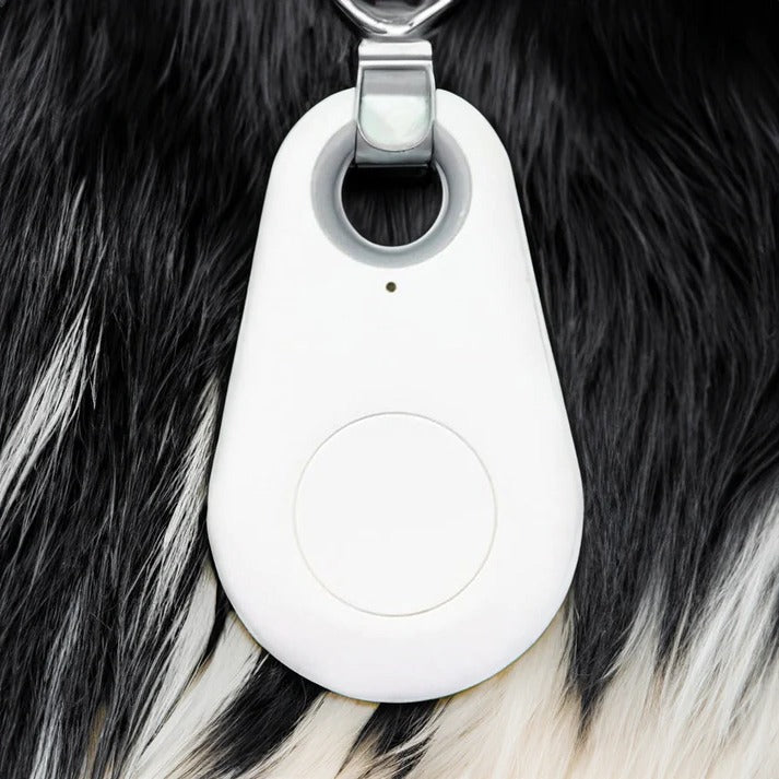 Pets Smart Waterproof GPS Tracker – Belro