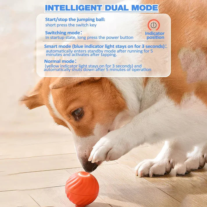 Active Rolling Ball Anti-Anxiety Automatic Moving Ball – Belro
