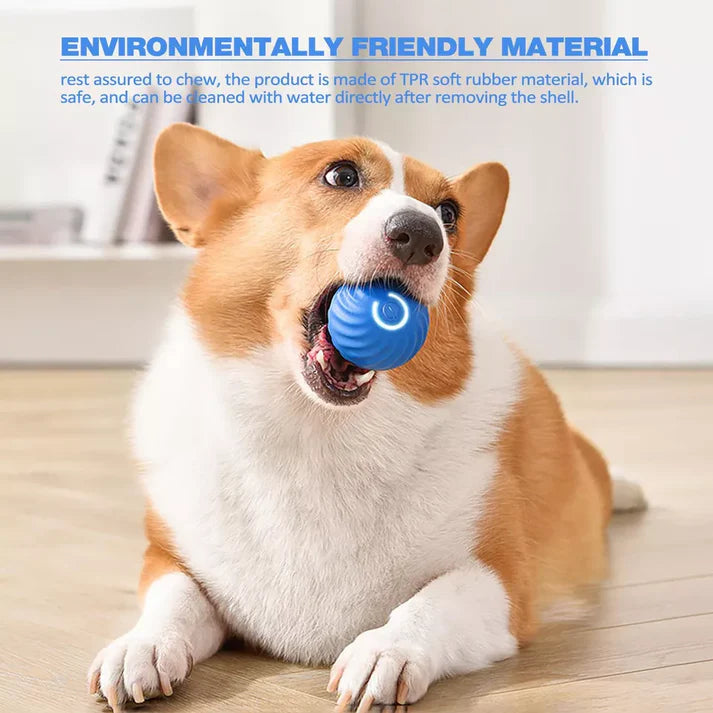 Active Rolling Ball Anti-Anxiety Automatic Moving Ball – Belro